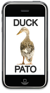 duck
